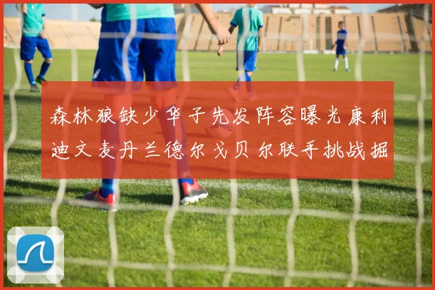 森林狼缺少华子先发阵容曝光康利迪文麦丹兰德尔戈贝尔联手挑战掘金