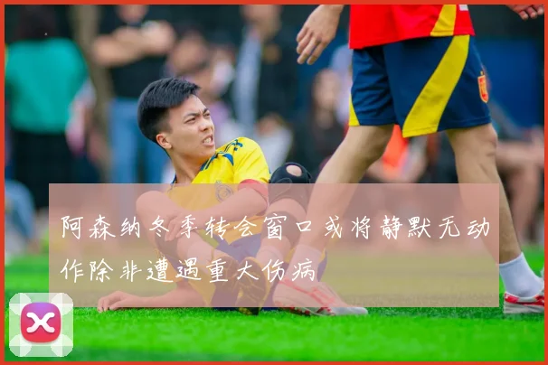 阿森纳冬季转会窗口或将静默无动作除非遭遇重大伤病